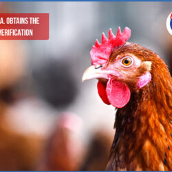 Biovet S.A. obtains the FSVP verification