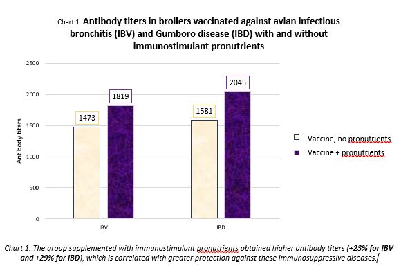 Antibody titers in broilers vaccinated against avian infectious bronchitis (IBV) and Gumboro disease (IBD) with and without immunostimulant pronutrients