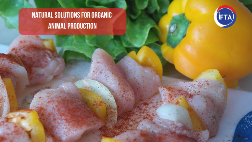 Natural solutions for organic animal production