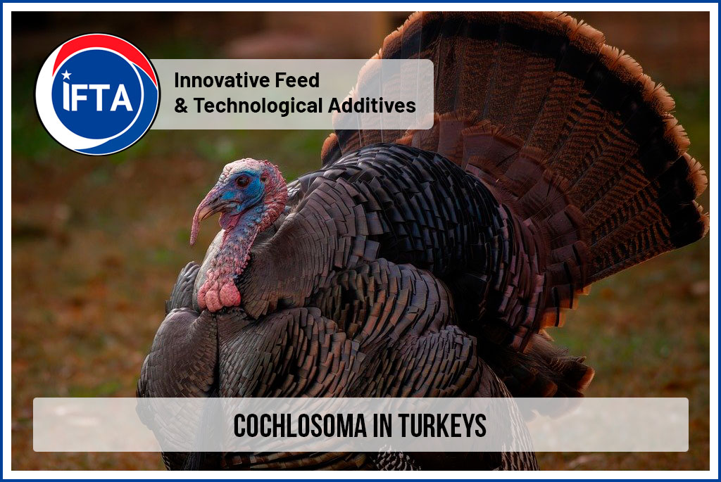 Cochlosoma in turkeys